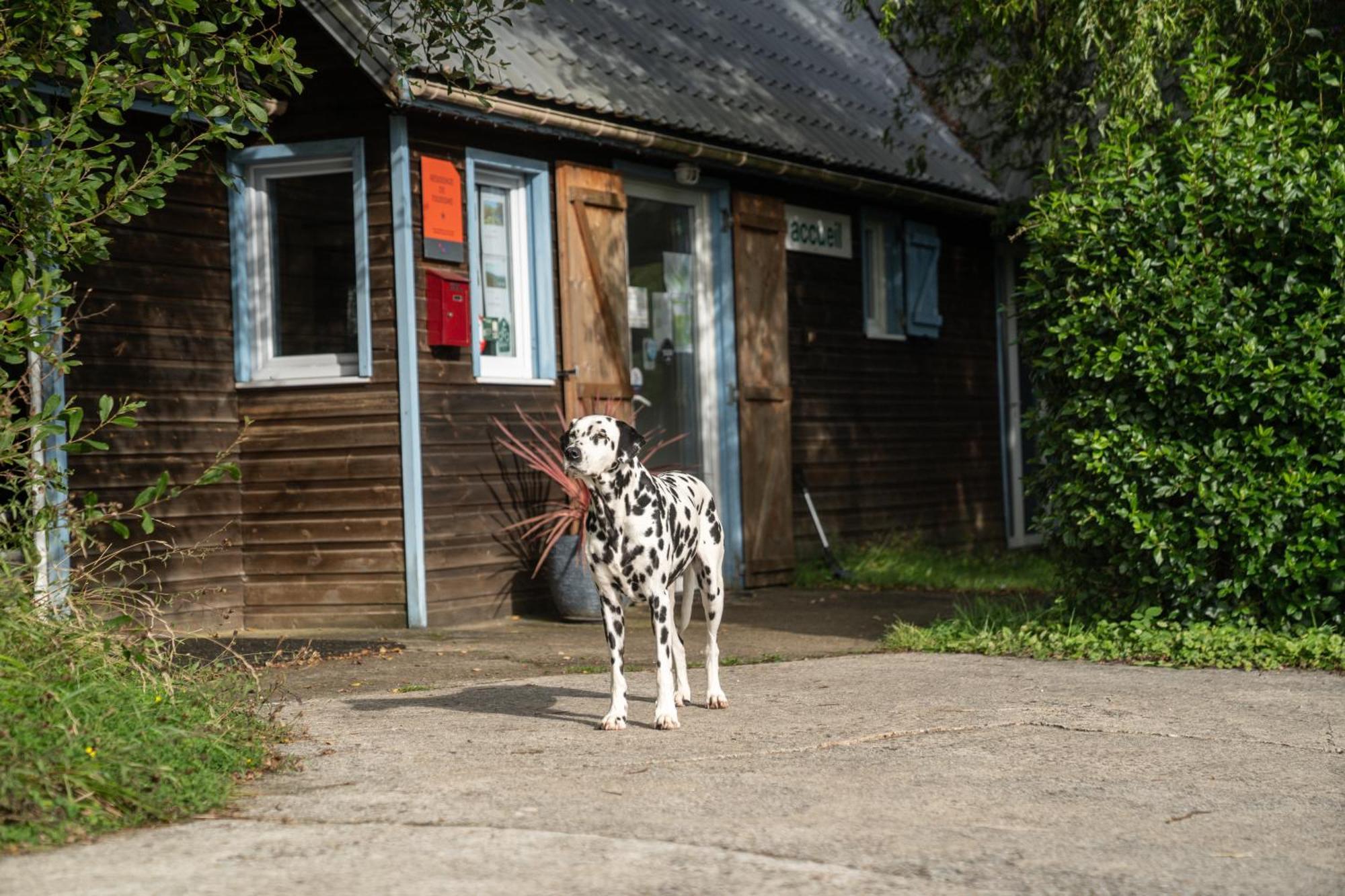 Gites 4,6 Personnes Fecamp Etretat Colleville Экстерьер фото