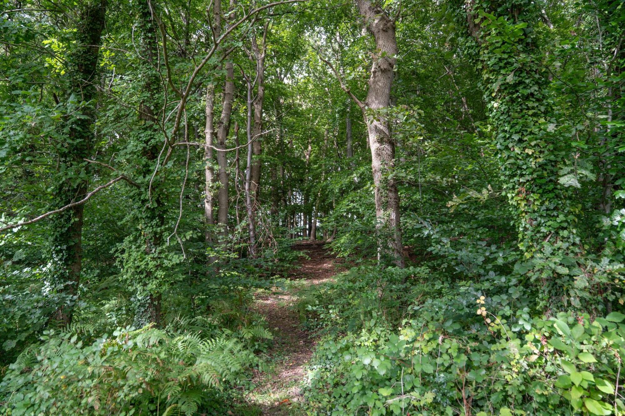 Gites 4,6 Personnes Fecamp Etretat Colleville Экстерьер фото